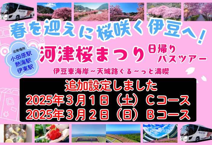 「春を迎えに！桜咲く伊豆へ！！ 　伊豆東海岸～天城路をぐる～っと周遊コース」